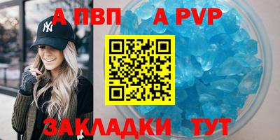 ешки Кингисепп