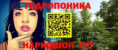 ECSTASY Кимры