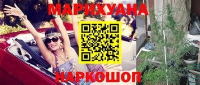 ешки Кингисепп