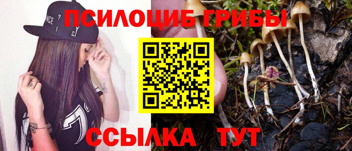 Галлюциногенные грибы Magic Shrooms  Псилоцибиновые грибы Psilocybe  Вход с VPN  Кимры 
